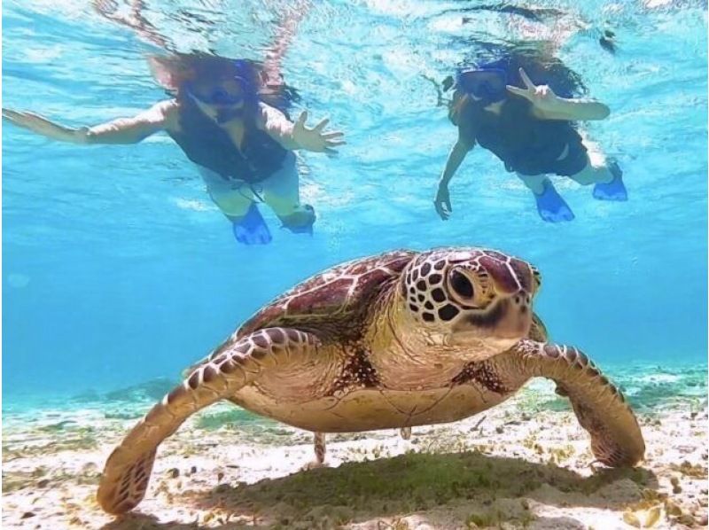 【沖縄・伊平屋島/1日】クルーズボート（貸切り☆6時間プラン）シュノーケル＆スキンダイビングなど遊び方自由！《送迎無料》グループ旅行に最適☆の紹介画像