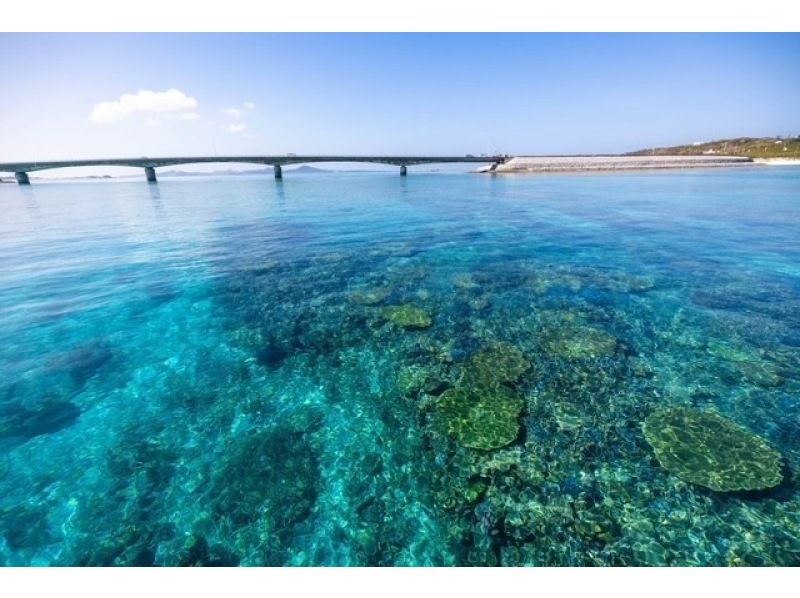 【沖縄・伊平屋島/1日】クルーズボート（貸切り☆6時間プラン）シュノーケル＆スキンダイビングなど遊び方自由！《送迎無料》グループ旅行に最適☆の紹介画像