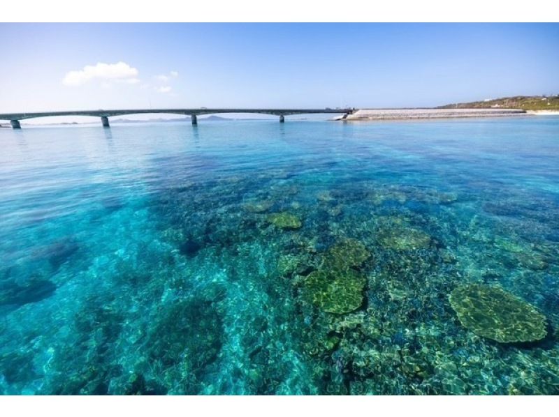 【沖縄・伊平屋島/1日】クルーズボート（貸切り☆6時間プラン）シュノーケル＆スキンダイビングなど遊び方自由！《送迎無料》グループ旅行に最適☆の紹介画像