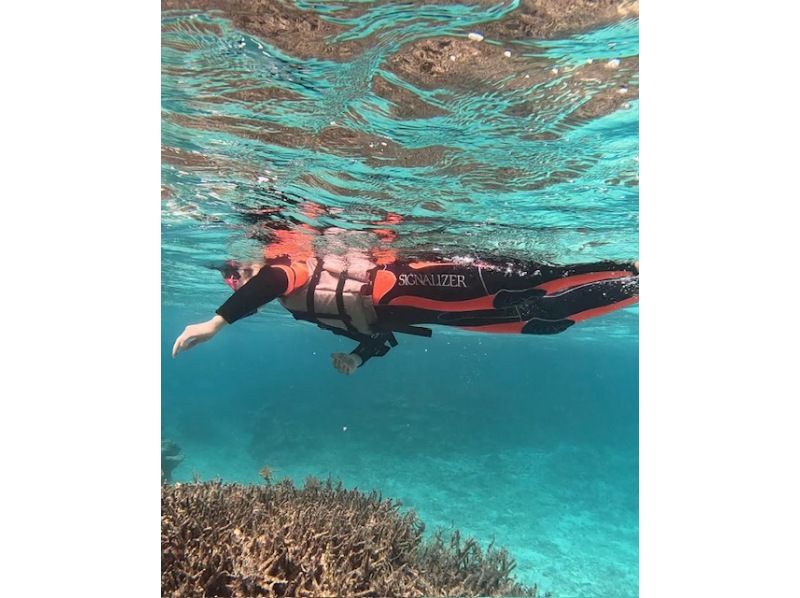 【沖縄・伊平屋島/1日】クルーズボート（貸切り☆6時間プラン）シュノーケル＆スキンダイビングなど遊び方自由！《送迎無料》グループ旅行に最適☆の紹介画像