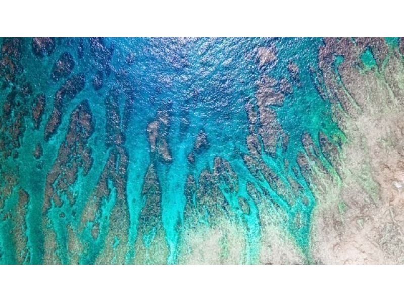 【沖縄・伊平屋島/1日】クルーズボート（貸切り☆6時間プラン）シュノーケル＆スキンダイビングなど遊び方自由！《送迎無料》グループ旅行に最適☆の紹介画像