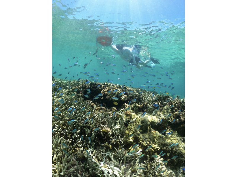［沖縄・宮古島、伊良部島］おひとり様専用・２ポイント・シュノーケル、スキンダイビング完全貸切ビーチエントリー★写真、動画プレゼント★の紹介画像