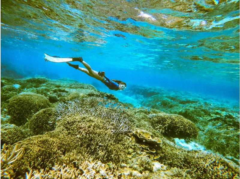  [沖縄・宮古島/伊良部島]シュノーケル・スキンダイビング ２ポイント完全貸し切り！★写真、動画プレゼント★の紹介画像