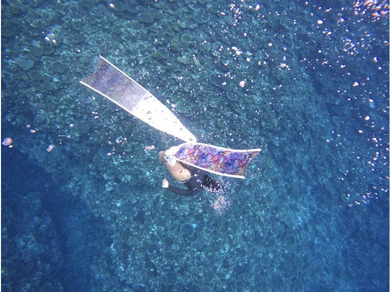  [沖縄・宮古島/伊良部島]シュノーケル・スキンダイビング ２ポイント完全貸し切り！★写真、動画プレゼント★の紹介画像