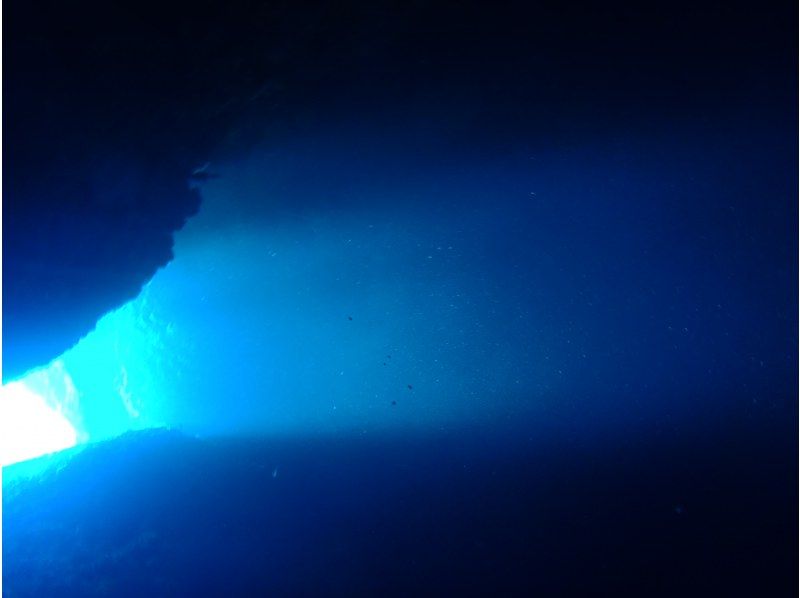 【沖縄・宜野湾発/ケラマ諸島】目に入るすべてが絶景の海の世界でダイビングを楽しもう！の紹介画像