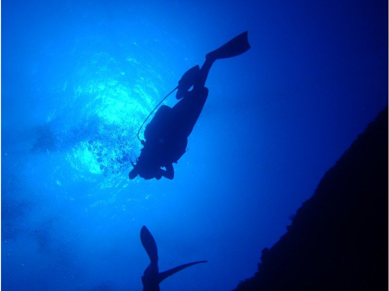 【沖縄・宜野湾発/ケラマ諸島】目に入るすべてが絶景の海の世界でダイビングを楽しもう！の紹介画像