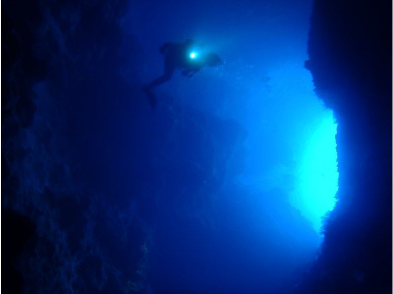 【沖縄・宜野湾発/ケラマ諸島】目に入るすべてが絶景の海の世界でダイビングを楽しもう！の紹介画像