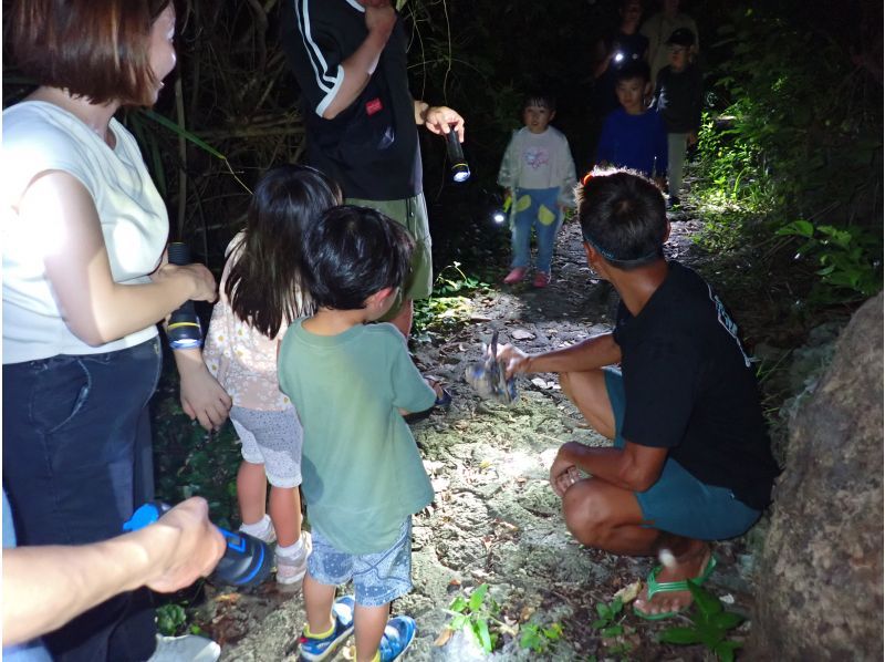 【宮古島/非凡夜遊】{*限時優惠：1000日元} 一位剛從亞馬遜歸來的嚮導將帶您體驗精彩的夜間探險之旅，大人也能樂在其中☆ 歡迎來到非凡的世界。の紹介画像