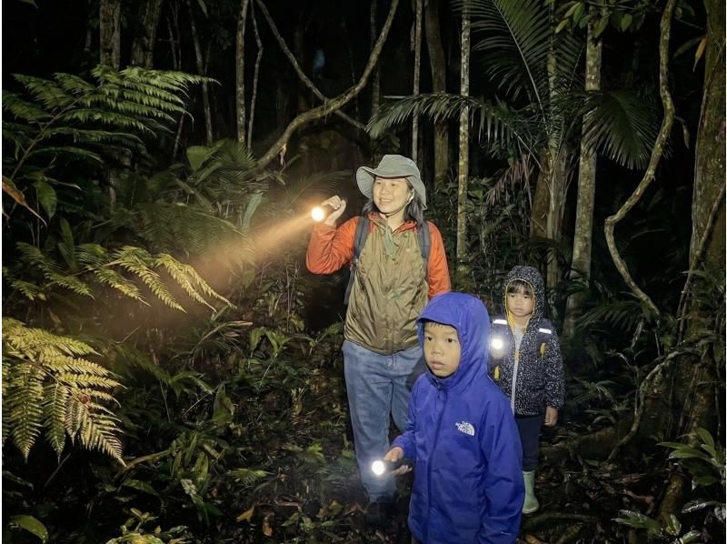 【宮古島・※5月末まで2000円】※破格ナイトツアー！アマゾンから帰ってきた男がご案内！大人も楽しめる夜の大冒険☆ようこそ非日常の世界へ。の紹介画像
