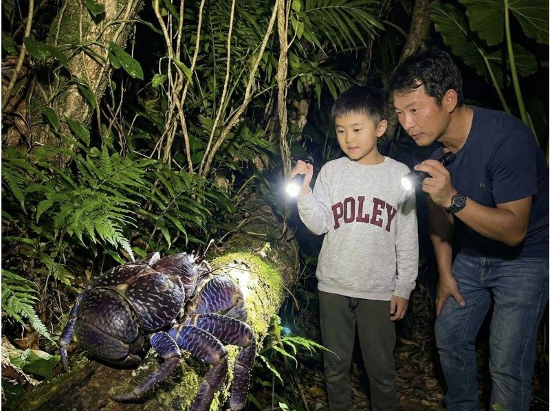 【宮古島ナイトツアー｜当日予約OK】★アマゾン帰りの男が案内★夜のジャングル探検《お子様にも大人気☆》の紹介画像