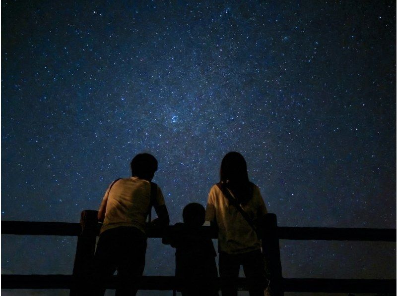 【宮古島ナイトツアー｜当日予約OK】★アマゾン帰りの男が案内★夜のジャングル探検《お子様にも大人気☆》の紹介画像