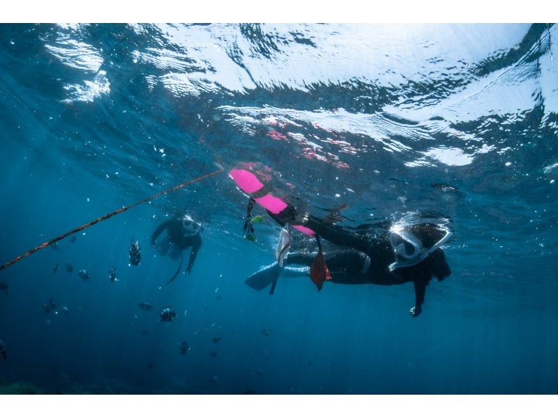 【Okinawa/Chatan】 Boat snorkeling! Photos and videos taken are freeの紹介画像