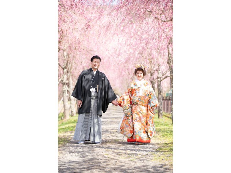 [ยามานาชิ/ฟูจิโยชิดะ] เช่าชุดกิโมโน (สำหรับเที่ยวชมสถานที่) & "งานแต่งงานภาพถ่ายภูเขาไฟฟูจิ"の紹介画像