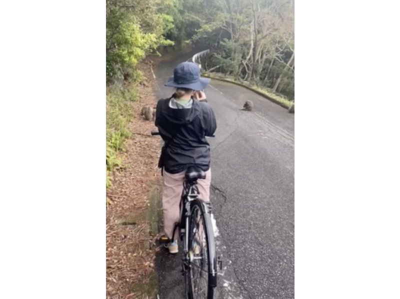 【屋久島の秘境永田】期間限定の貴重な体験〜早朝ウミガメ観察と永田巡りの紹介画像