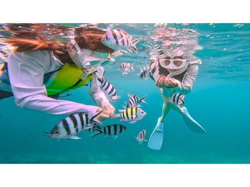 【Okinawa/Chatan】 Boat snorkeling! Photos and videos taken are freeの紹介画像