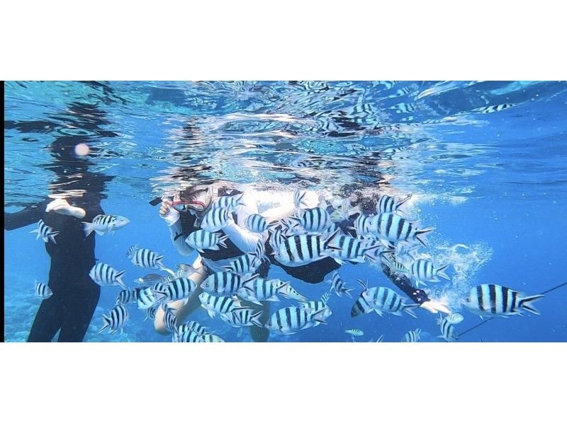 【Okinawa/Chatan】 Boat snorkeling! Photos and videos taken are freeの紹介画像