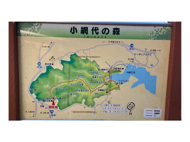 （神奈川県三浦市）小網代の森、生き物ガイド、海、川の生物、鳥、動物のご案内の紹介画像