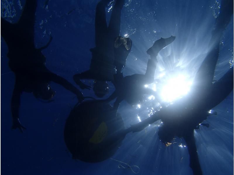 【那覇、糸満】　朝活！早朝シュノーケリング　帰る日でも間に合う！ジョン万ビーチでのシュノーケル！ 写真データ＆餌やり無料のの紹介画像