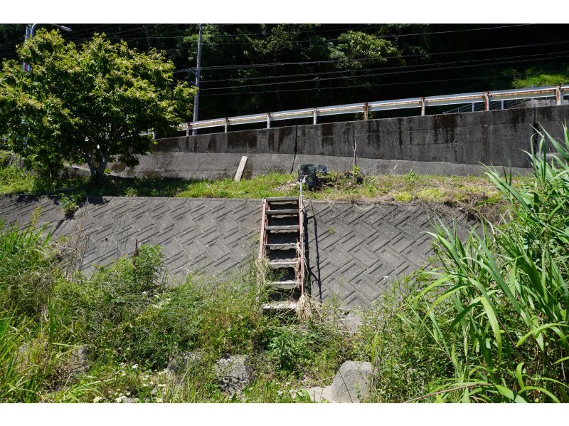 レンタサイクルで〝土佐の清流 新荘川〟沿いをサイクリング（今なら川釣りモニター体験が無料）　の紹介画像