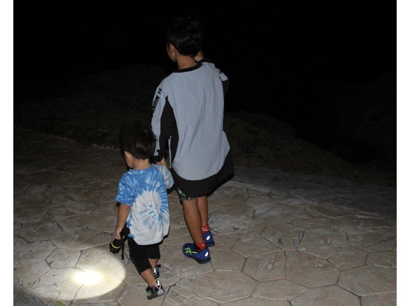 【宮古島・ナイトツアー】幻のヤシガニ・ジャングル探検ツアー！雨天決行｜当日予約◎＜写真データ無料でお渡し！＞の紹介画像