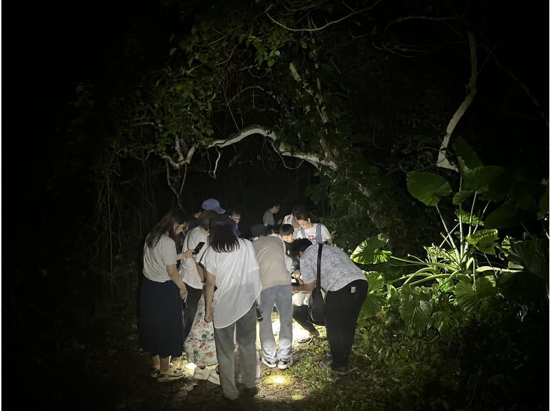 【宮古島・ナイトツアー】幻のヤシガニ・ジャングル探検ツアー！手ぶら参加OK/当日予約◎＜写真データ無料でお渡し！＞の紹介画像