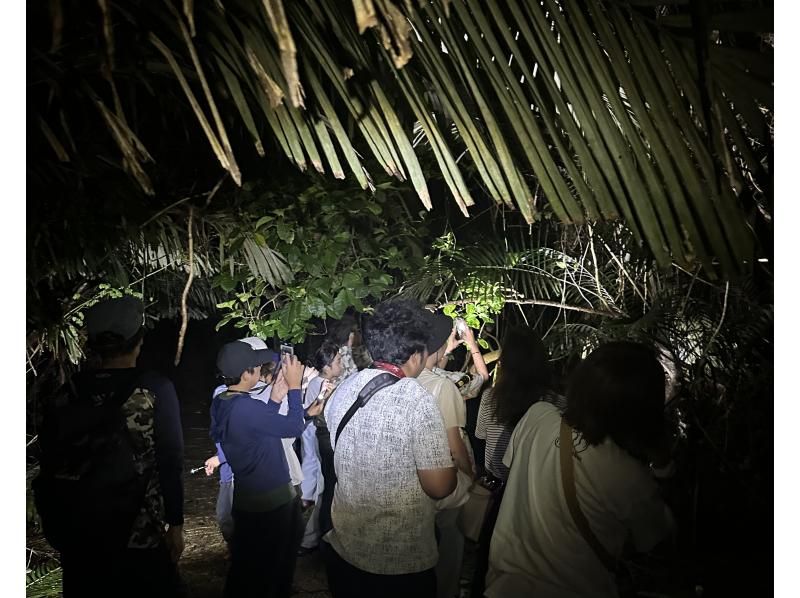【宮古島・ナイトツアー】幻のヤシガニ・ジャングル探検ツアー！雨天決行｜当日予約◎＜写真データ無料でお渡し！＞の紹介画像