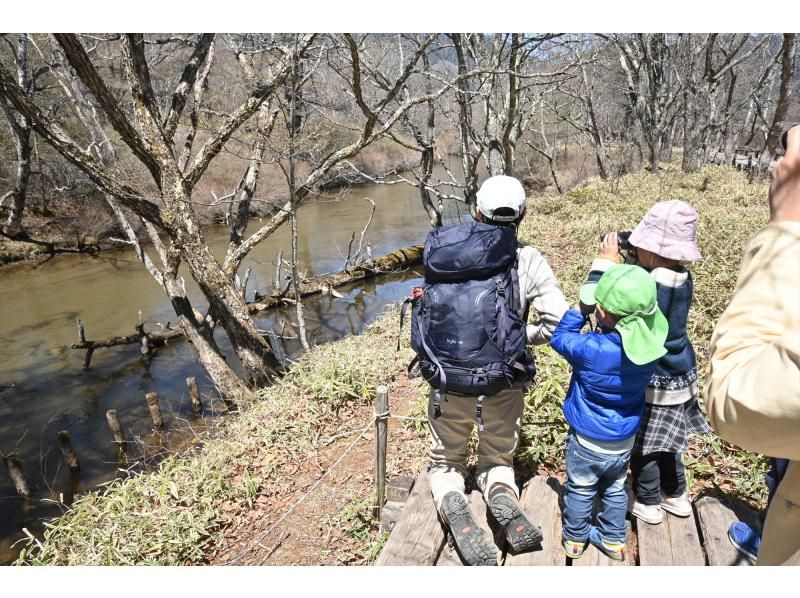 戦場ヶ原ガイドウォーク〈春編〉【栃木県・奥日光】【どなたでもご参加歓迎！】の紹介画像