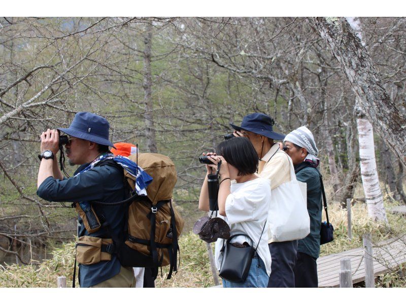 戦場ヶ原ガイドウォーク〈春編〉【栃木県・奥日光】【どなたでもご参加歓迎！】の紹介画像