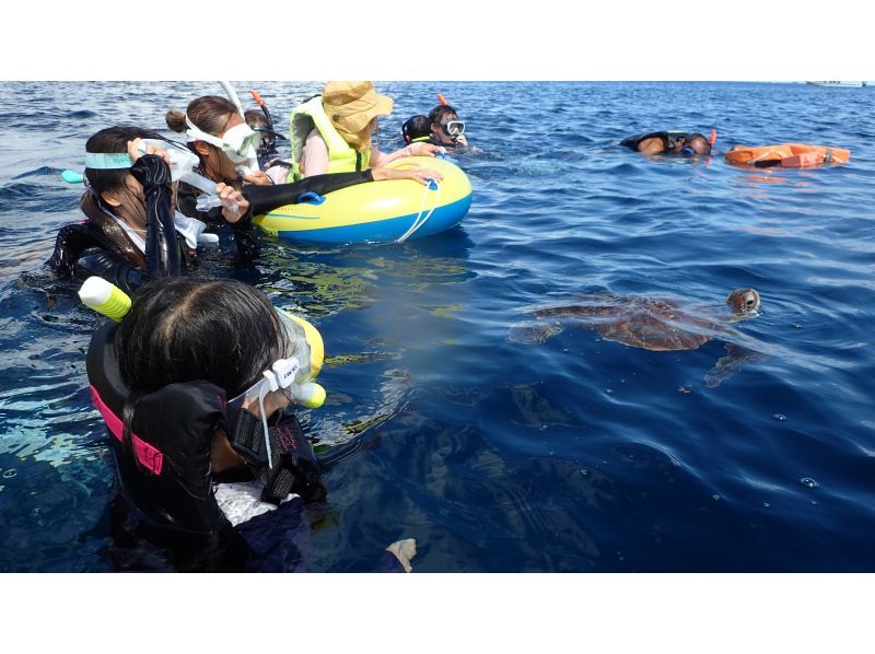 安くて満足感をお求めの方！【石垣島】青の洞窟＆ウミガメシュノーケル☆送迎も水中写真も無料♪の紹介画像