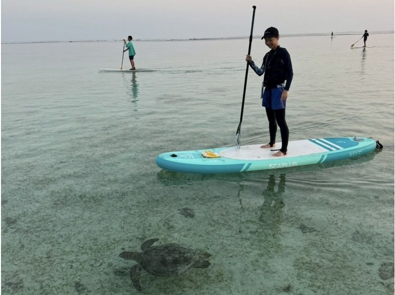 【미야코 섬 / 이른 아침】 ★ 오픈 기념 세일 중 ★ [ 바다 거북과 맞이하는 기적의 선 라이즈 SUP 투어]の紹介画像