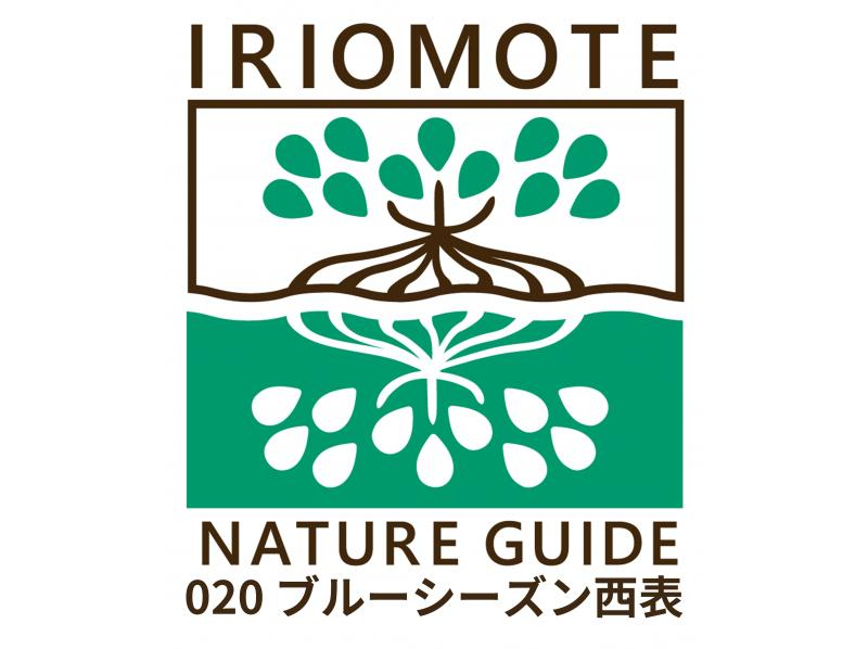 【沖縄/西表島】人気№１ピナイサーラの滝＆星の砂ビーチスノーケル！夏季限定コースの紹介画像