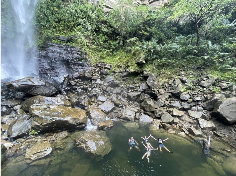 [沖繩縣/西表島] Pinaisara瀑布獨木舟健行＆由布島水牛車之旅の紹介画像