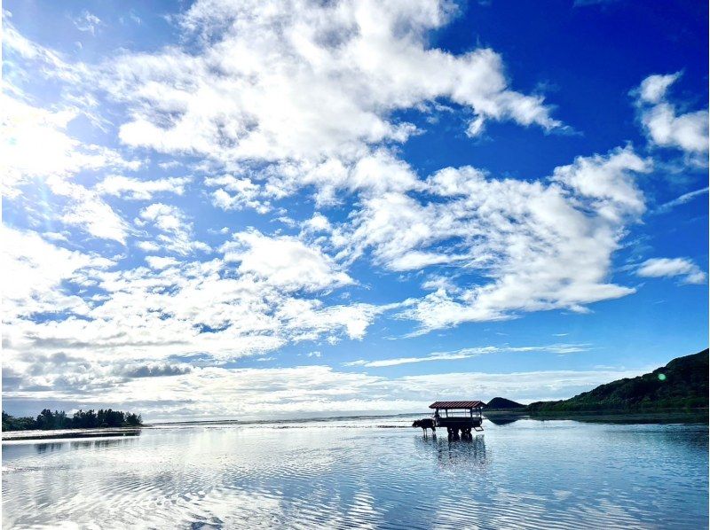 [沖繩縣/西表島] Pinaisara瀑布獨木舟健行＆由布島水牛車之旅の紹介画像