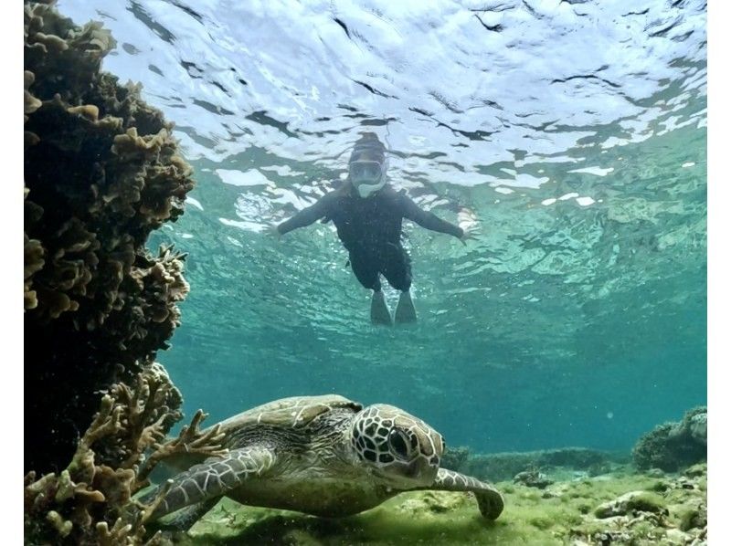 (Opened in June 2015) [Okinawa, Itoman] Exclusive for one group ☆ Over 60 photos taken! ? We will leave you with memories of your trip to Okinawa! There is a high chance that you may see sea turtles ☆の紹介画像