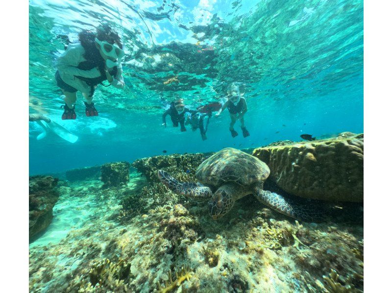 [Private tours for one group only] We will organize a tour tailored to your needs in southern Okinawa, and take over 60 photos. We will create memories of your Okinawa trip! High chance of encountering sea turtles?の紹介画像