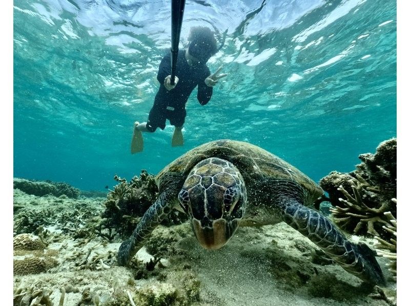 (Opened in June 2015) [Okinawa, Itoman] Exclusive for one group ☆ Over 60 photos taken! ? We will leave you with memories of your trip to Okinawa! There is a high chance that you may see sea turtles ☆の紹介画像