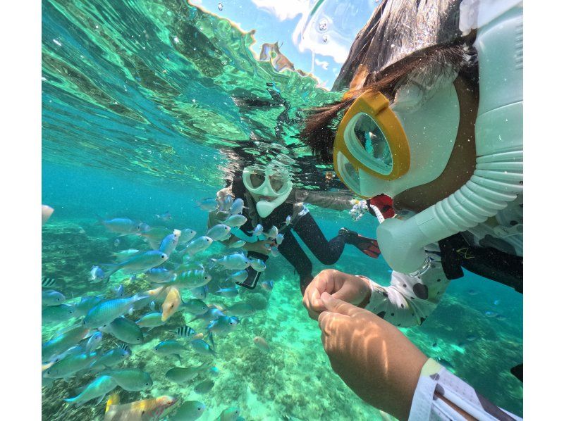 [Private tours for one group only] We will organize a tour tailored to your needs in southern Okinawa, and take over 60 photos. We will create memories of your Okinawa trip! High chance of encountering sea turtles?の紹介画像