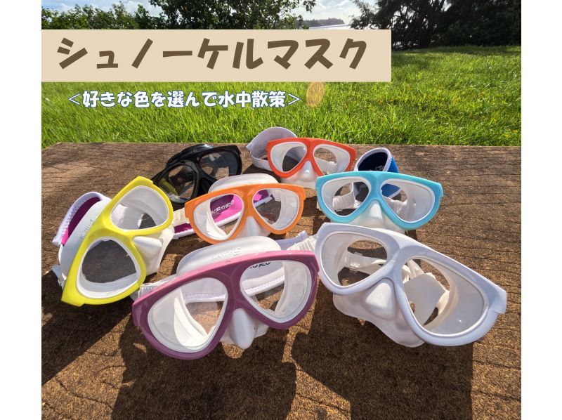 [Private tour for one group only] We will hold a tour that suits you in southern Okinawa and take over 60 photos. We will create memories of your trip to Okinawa! High chance of encountering sea turtles?の紹介画像