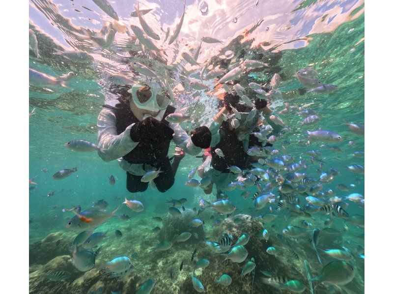 [Private tours for one group only] We will organize a tour tailored to your needs in southern Okinawa, and take over 60 photos. We will create memories of your Okinawa trip! High chance of encountering sea turtles?の紹介画像