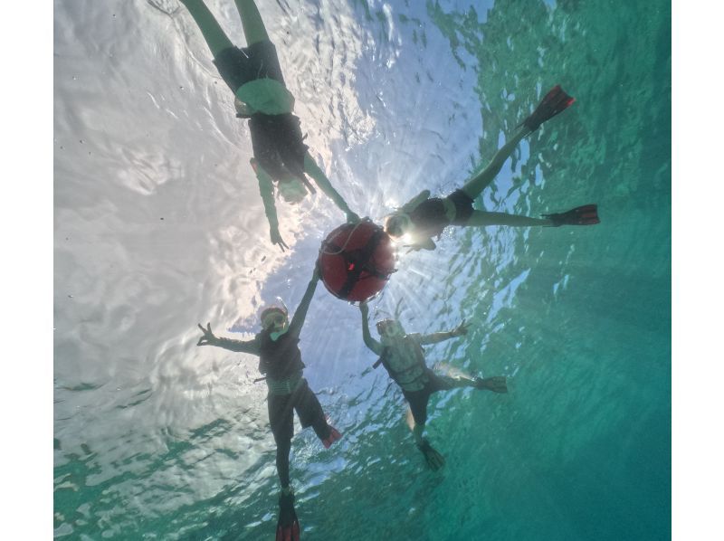 [Private tours for one group only] We will organize a tour tailored to your needs in southern Okinawa, and take over 60 photos. We will create memories of your Okinawa trip! High chance of encountering sea turtles?の紹介画像