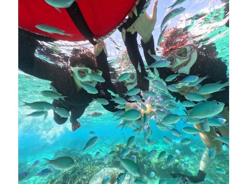 [Private tours for one group only] We will organize a tour tailored to your needs in southern Okinawa, and take over 60 photos. We will create memories of your Okinawa trip! High chance of encountering sea turtles?の紹介画像