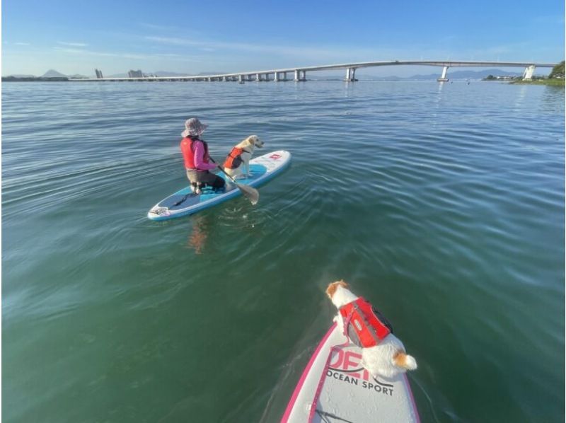 【滋賀・真野浜】朝のびわ湖へ漕ぎ出そう！ 琵琶湖大橋を眺めるSUP＆ビーチモーニングの紹介画像