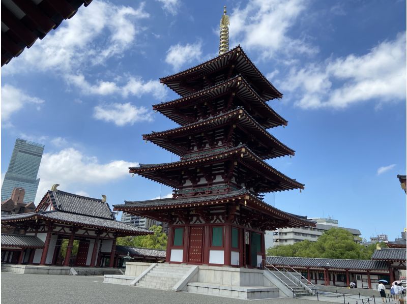 [Osaka Castle, Shinsekai, Shitennoji Temple] A completely private sightseeing tour! Lunch and tea included! (Full 6-hour course)の紹介画像
