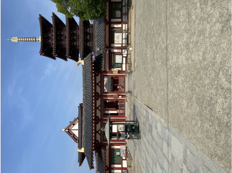 【大阪城・新世界・四天王寺】完全プライベート観光ツアー！ランチとお茶付き！〈たっぷり6時間コース〉の紹介画像