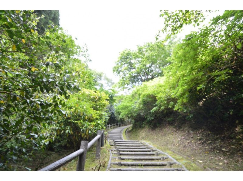 【福島県・いわき市】いわきあるき【いわき名物ガイド】と行くいわき公園秋みつけようの紹介画像
