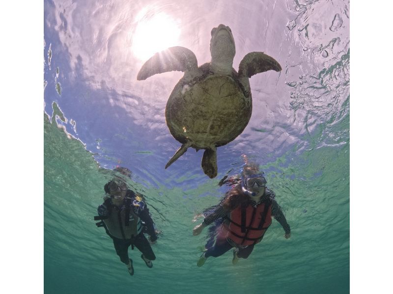 [冲绳，宫古岛] SUP＆浮潜之旅！豪华套餐，让您同时享受两种乐趣！悠闲地乘船游览清澈的海水，在私人场所游泳！の紹介画像