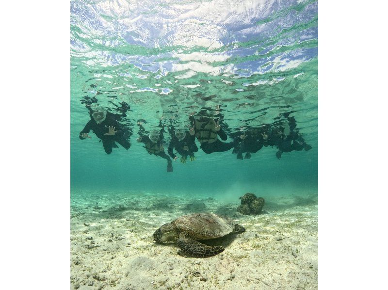 [冲绳，宫古岛] SUP＆浮潜之旅！豪华套餐，让您同时享受两种乐趣！悠闲地乘船游览清澈的海水，在私人场所游泳！の紹介画像