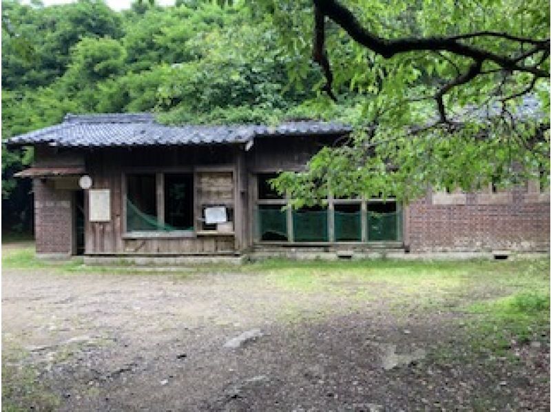紀淡海峡に浮かぶ超ミステリアスアイランド　友ヶ島探検ツアーの紹介画像