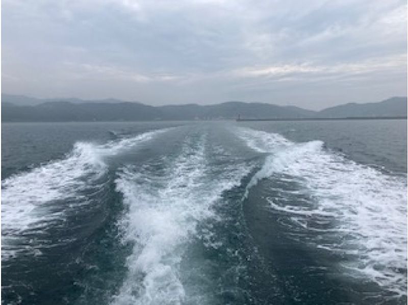 紀淡海峡に浮かぶ超ミステリアスアイランド　友ヶ島探検ツアーの紹介画像