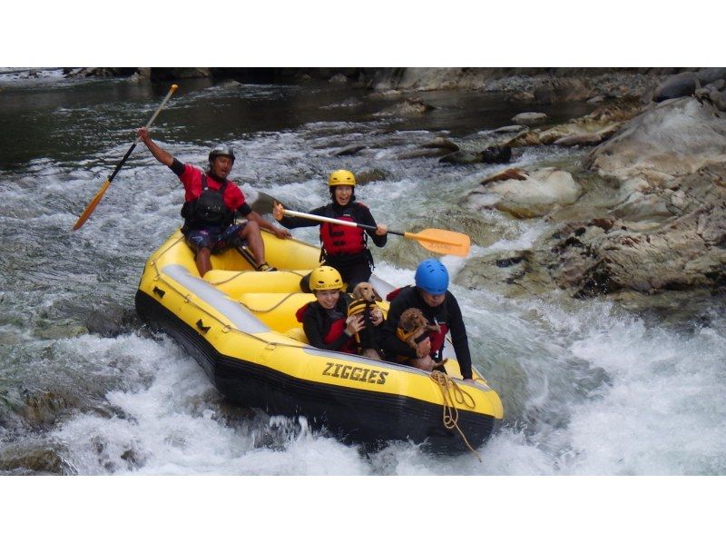 [Gunma Minakami] 2025 Autumn Lunch Included ☆ Half-Day Rafting Course! Photo Data Included ♪の紹介画像